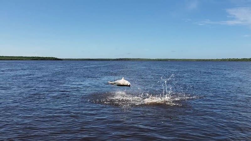 Florida fishing trips photos