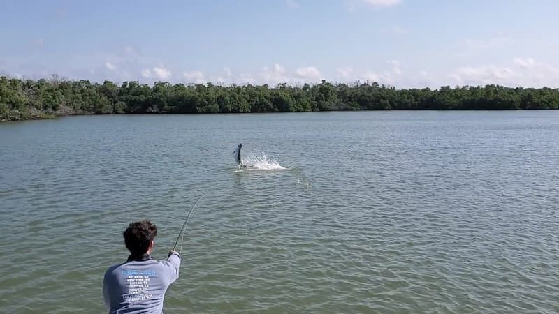 Florida fishing charter images