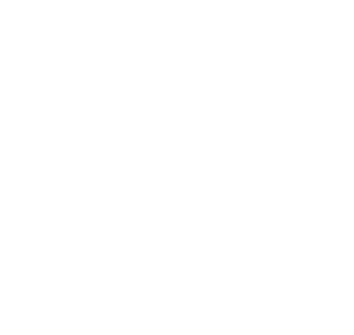 Strip Set Charters Logo