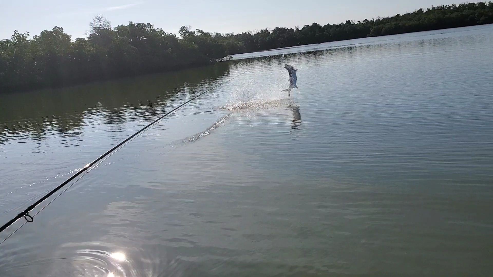 Snook Fishing near me