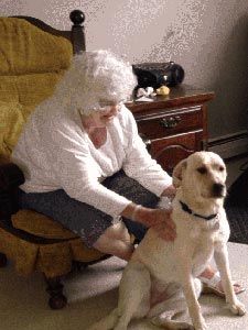 Josie — Healing Studio in Bangor, ME