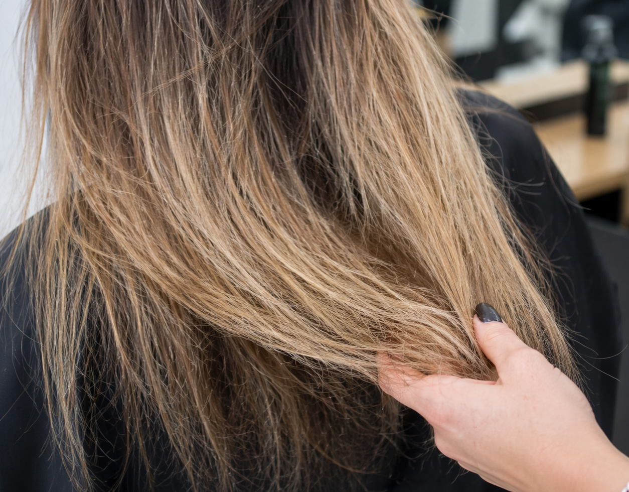Dry, rough hair ends being assessed in salon before treatment