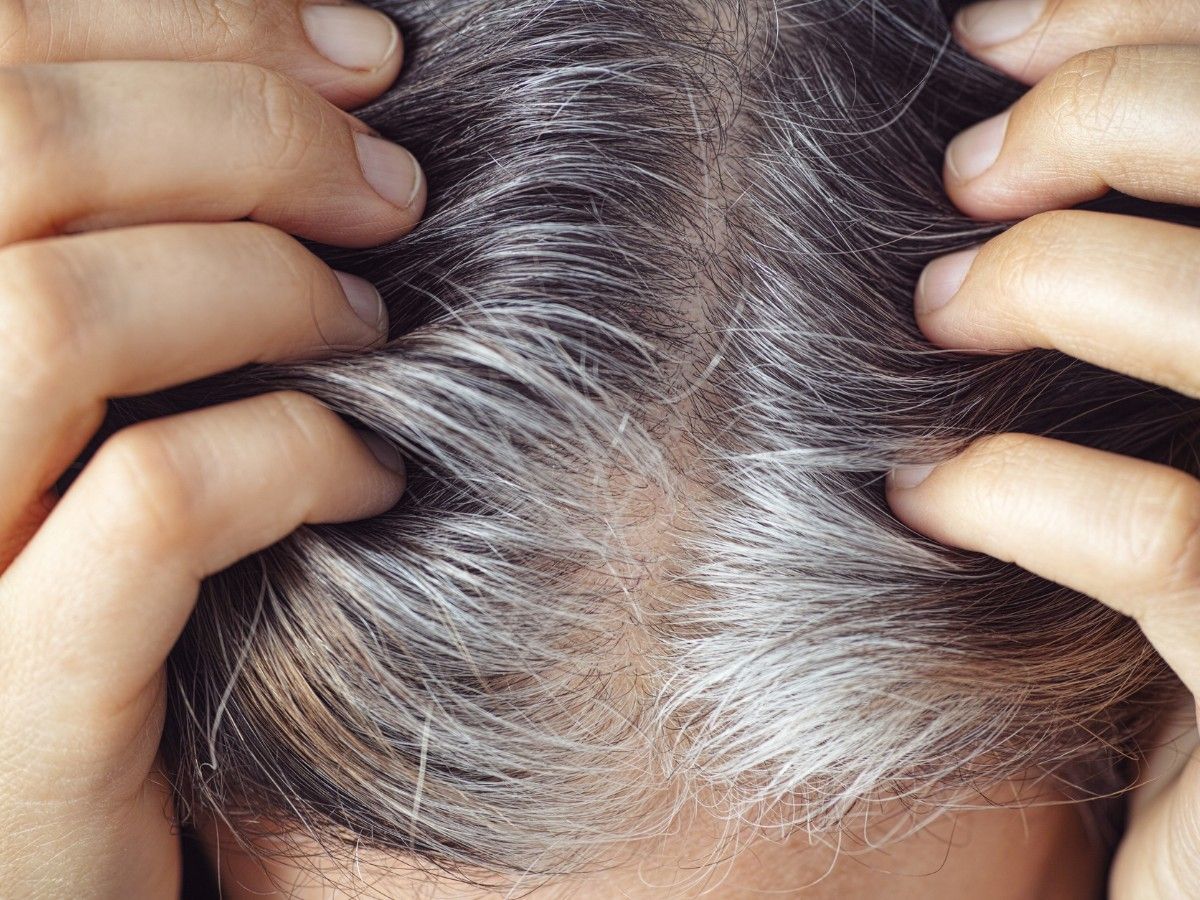 Close-up of natural grey hair showing varying levels of grey regrowth before professional colouring