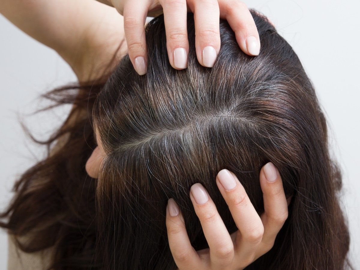 Close-up of natural hair regrowth showing the contrast between new growth and previously coloured ha