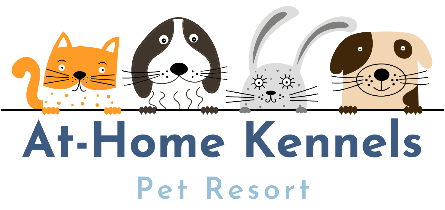 Dog Boarding Tucson, AZ (520) 7223162