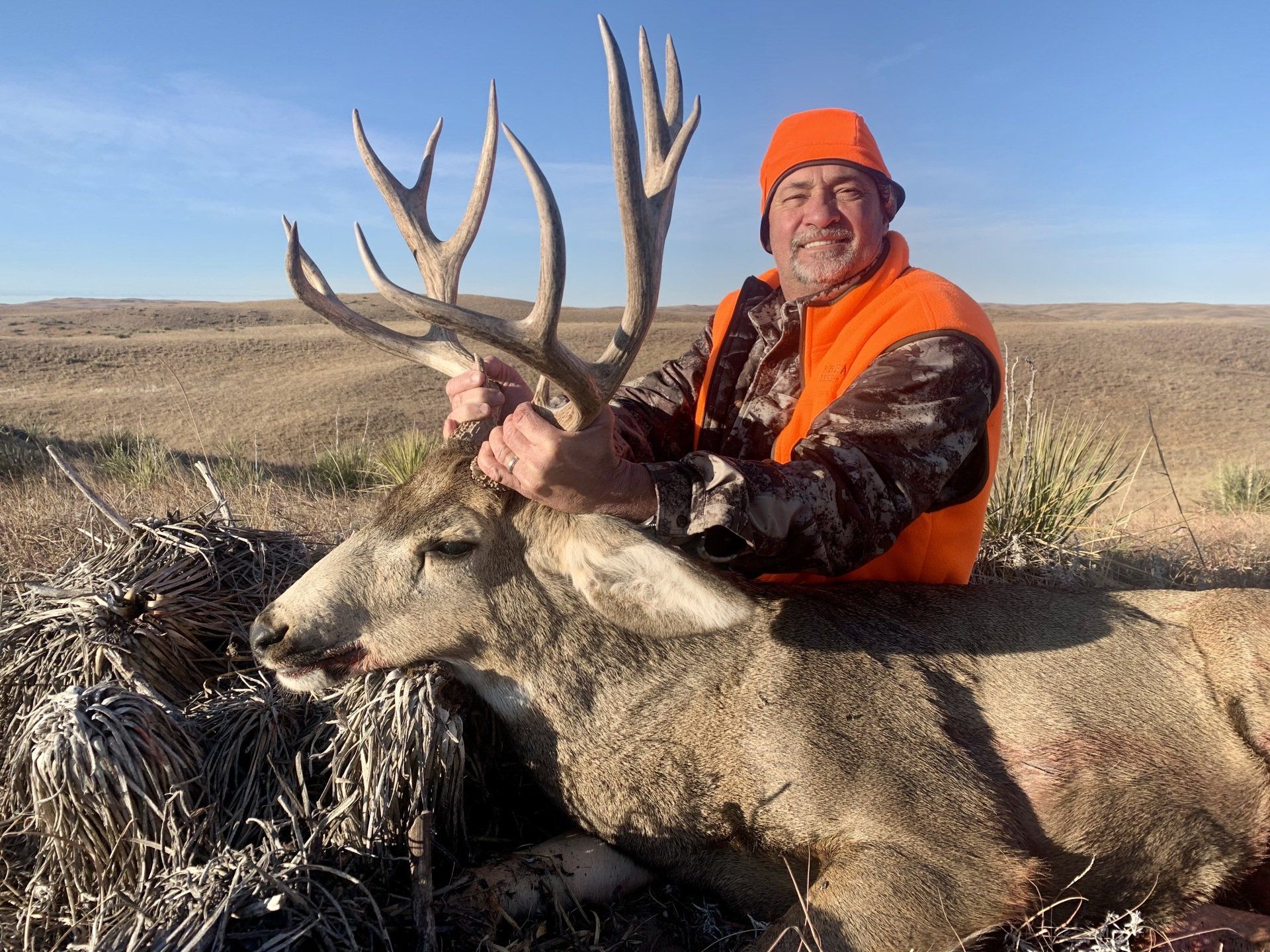 Hunter in orange vest and hat smiles, holding large buck with impressive antlers in a grassy field.