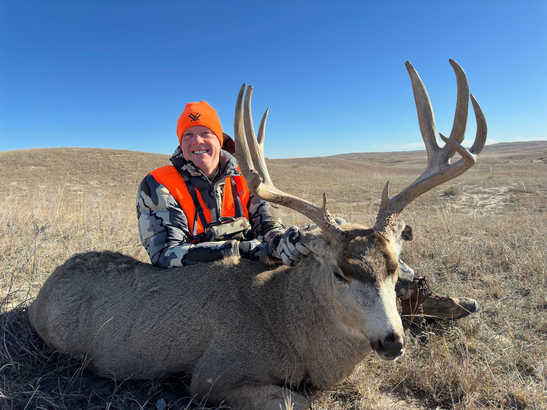 Hunter kneels beside a large mule deer buck with impressive antlers, wearing blaze orange in a field.