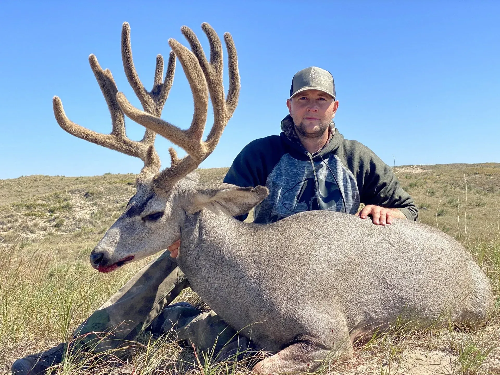 Man in camo hat with large deer, field setting, sunny day.