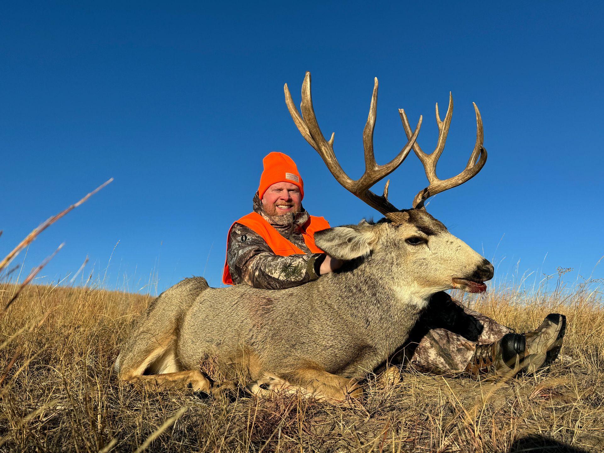 Hunter in orange vest and hat with a large deer in grassy field, against a blue sky.