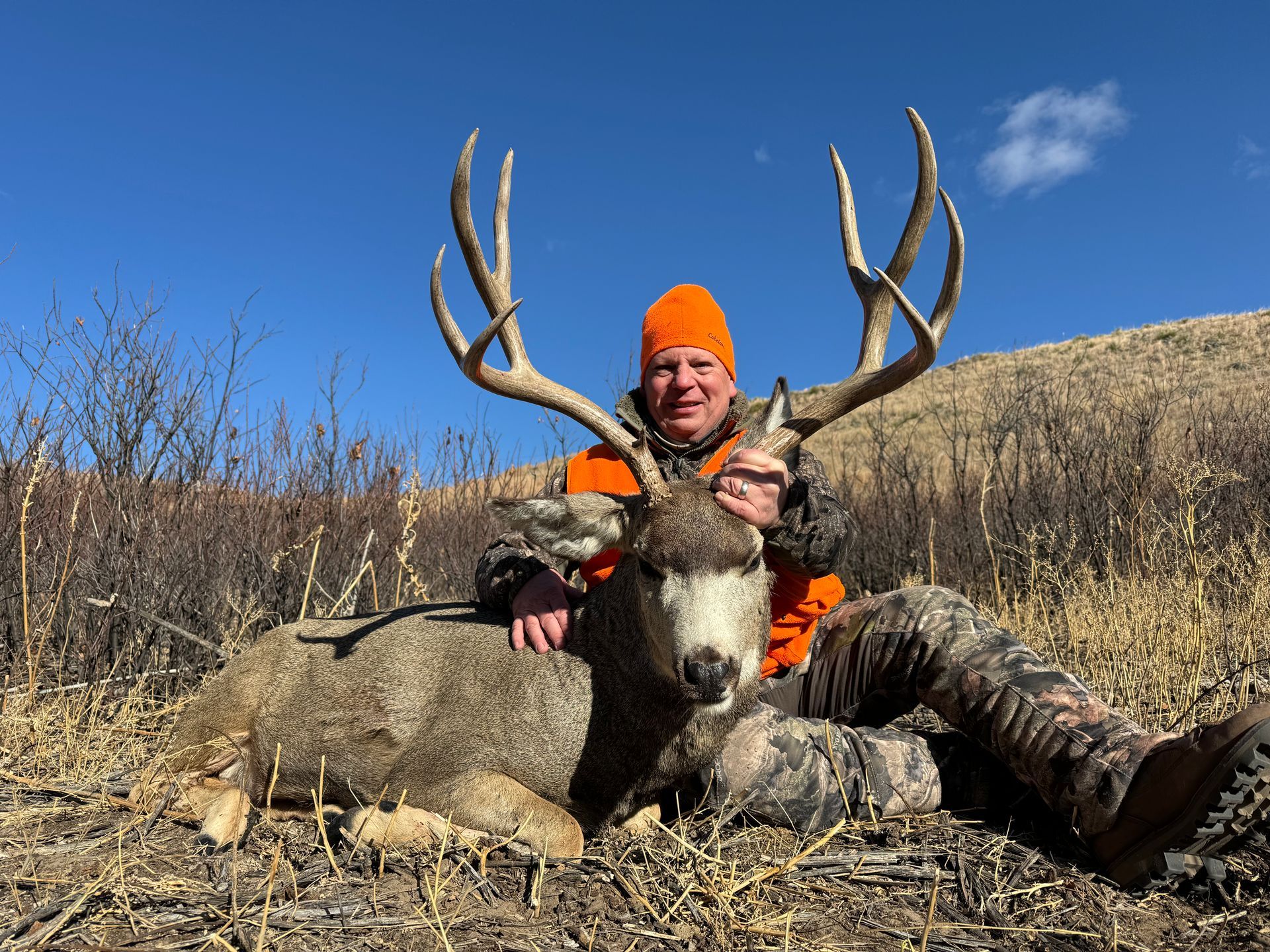 Hunter in orange hat smiles, sits with large mule deer buck with impressive antlers in a field under a blue sky.