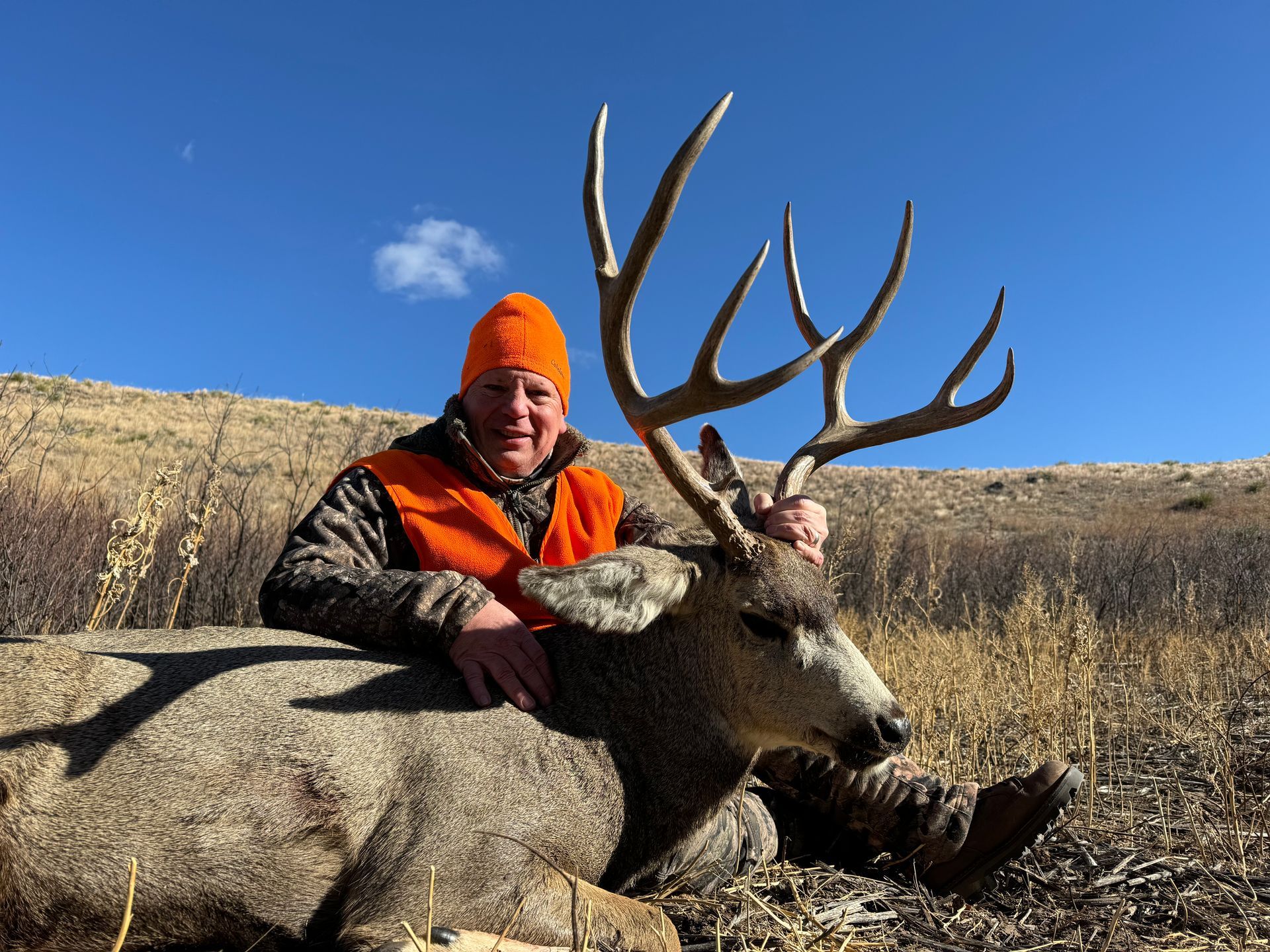 Hunter in orange vest and hat with a large buck in a field, under a blue sky.