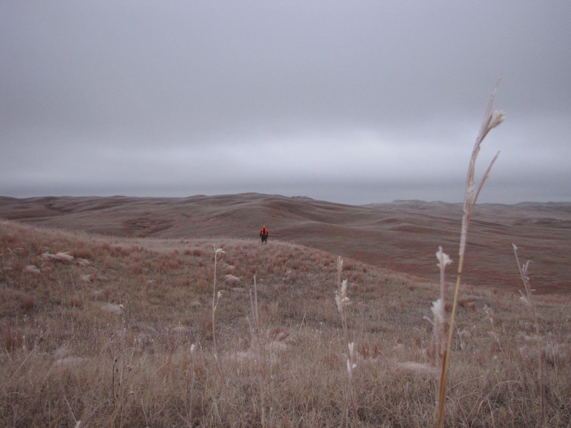 A person in orange jacket on a grassy, brown dune landscape under a cloudy sky.