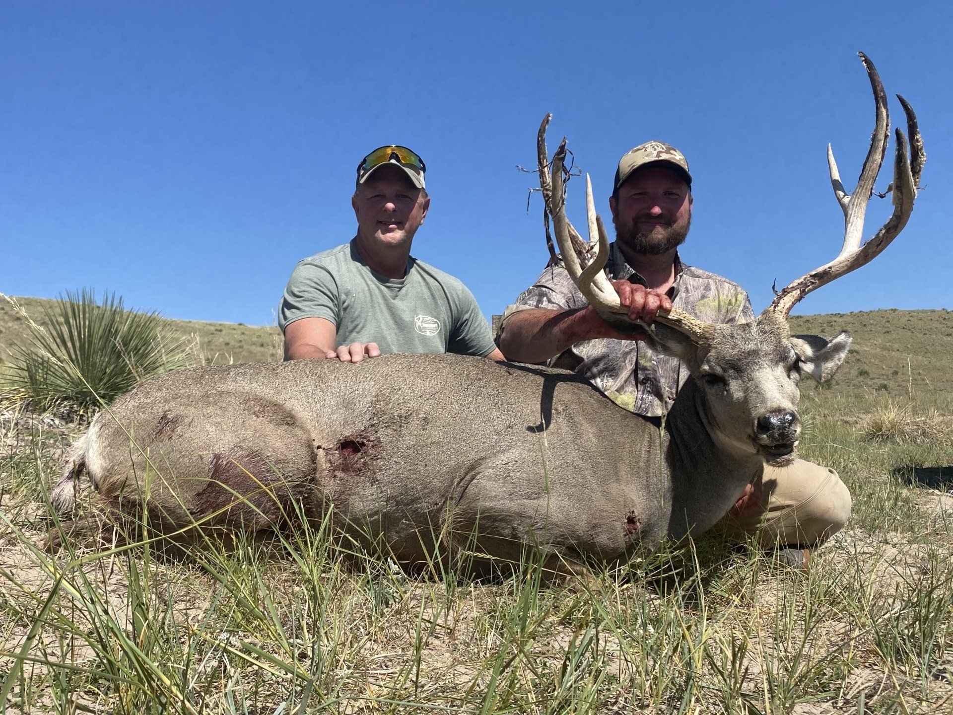 Two men pose with a large buck deer in a field under a blue sky.