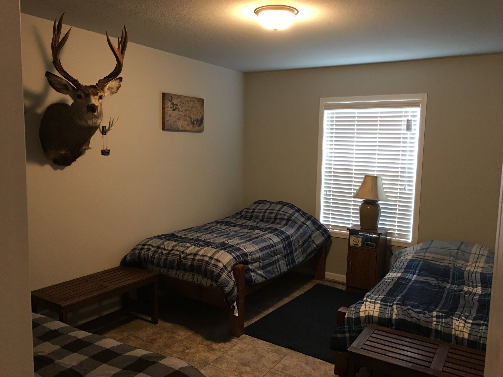 Bedroom with three beds, a deer head on the wall, a window, and nightstands with lamps.
