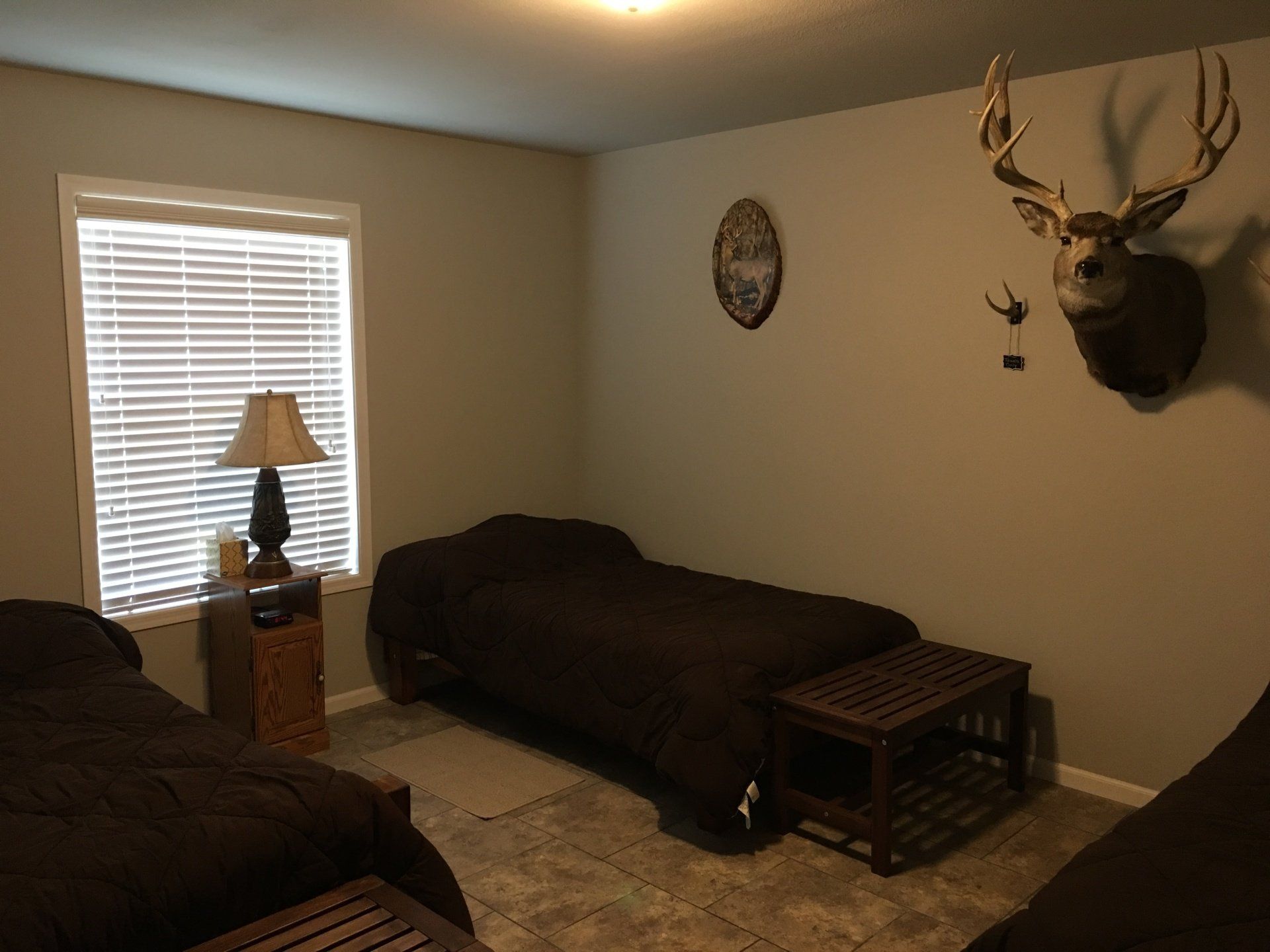 A bedroom with three beds, a window, and a deer head on the wall.