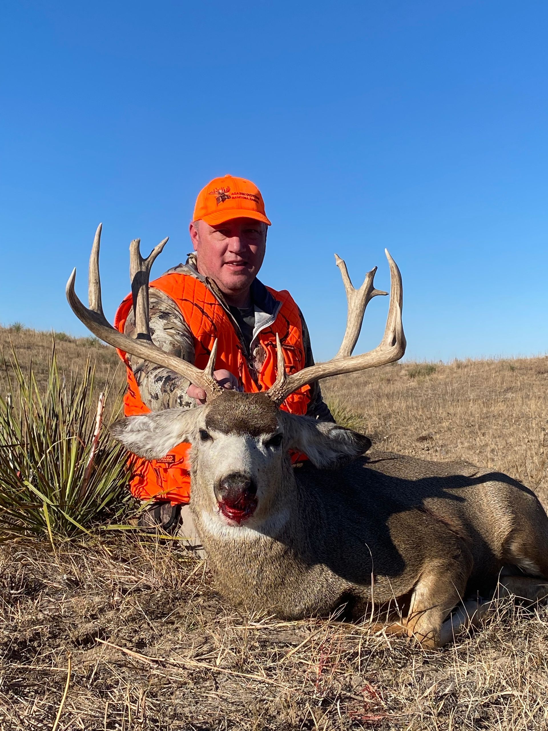 Man in orange hunting gear kneels next to a large mule deer buck on a grassy hill under a blue sky.