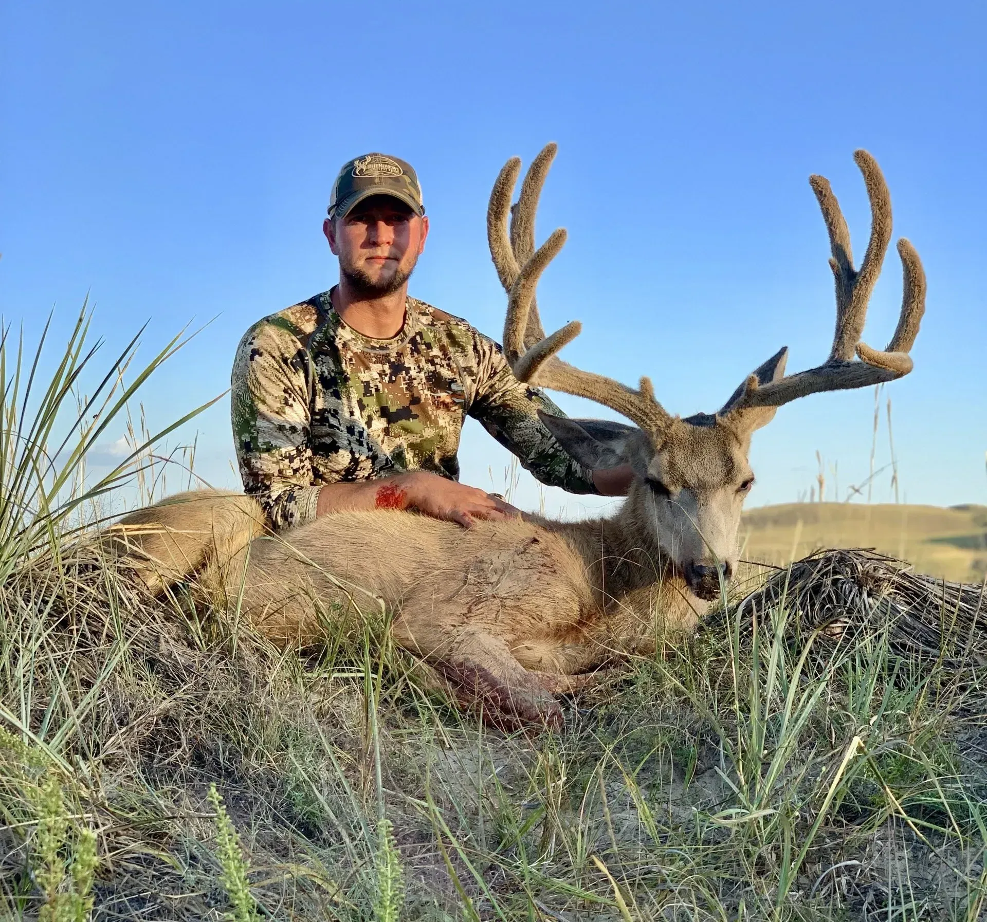 Hunter in camouflage with a large mule deer buck in tall grass, under a blue sky.