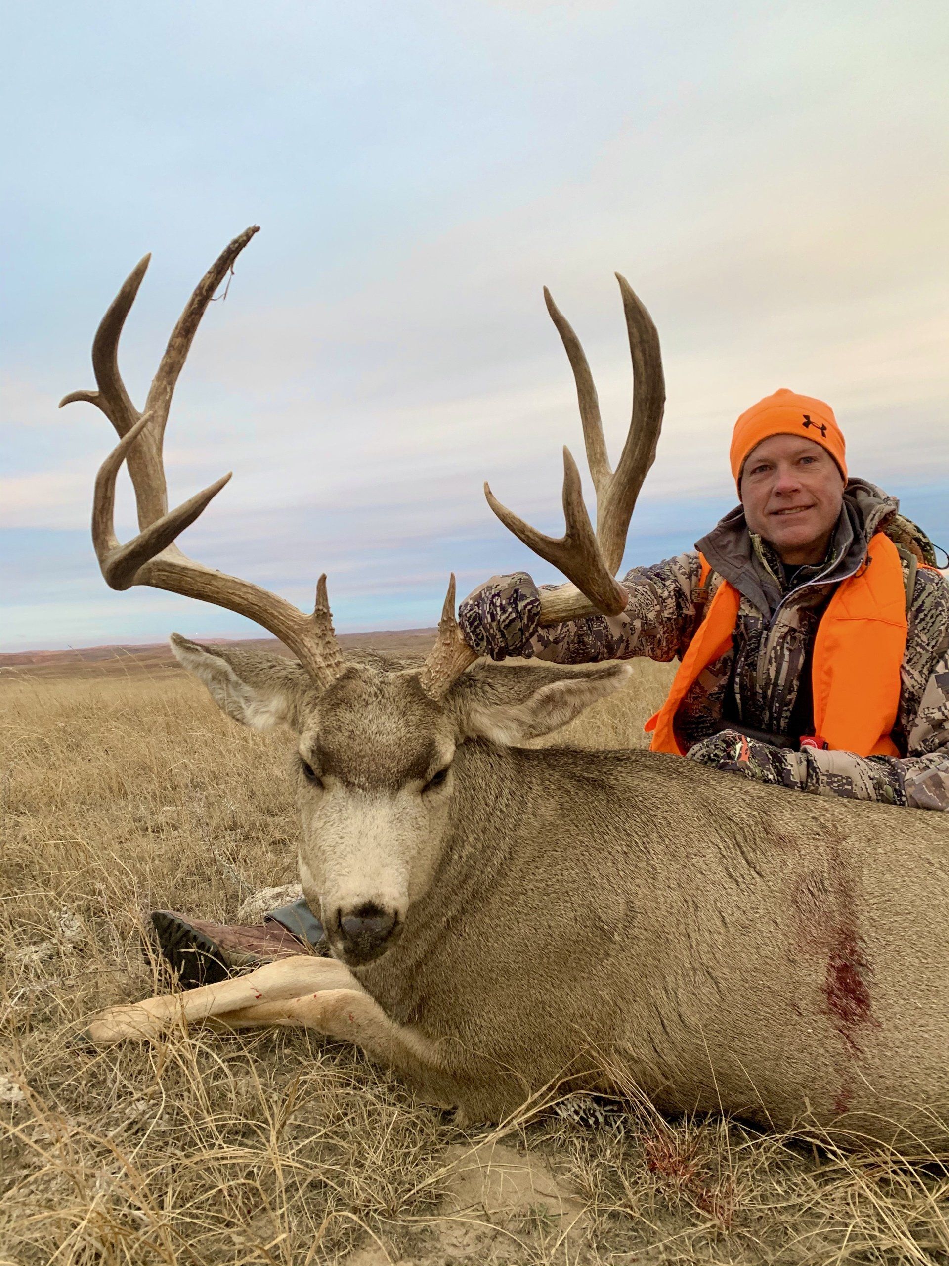 Hunter in orange vest poses with a large harvested mule deer in a field.