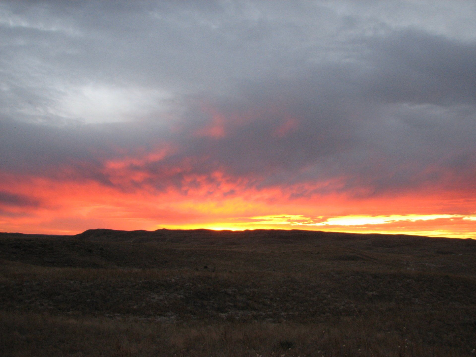 Fiery sunset over a dark, grassy plain, with vibrant orange and red hues in the sky.
