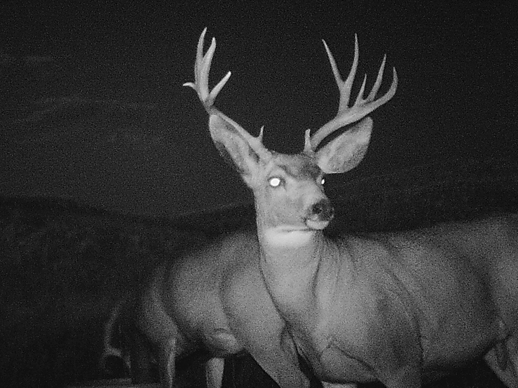 Shed hunting in Nebraska