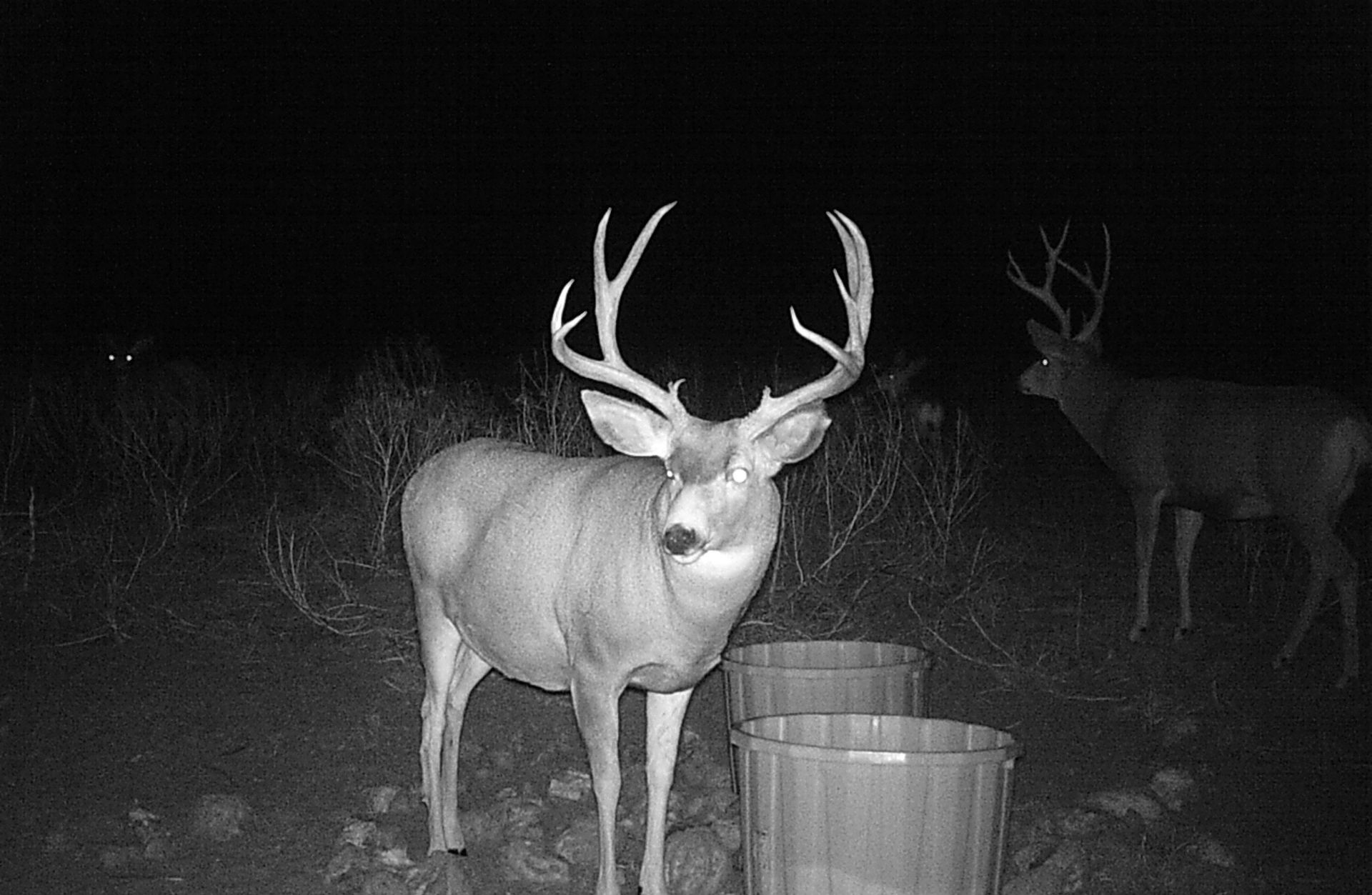 hunting-season-in-nebraska