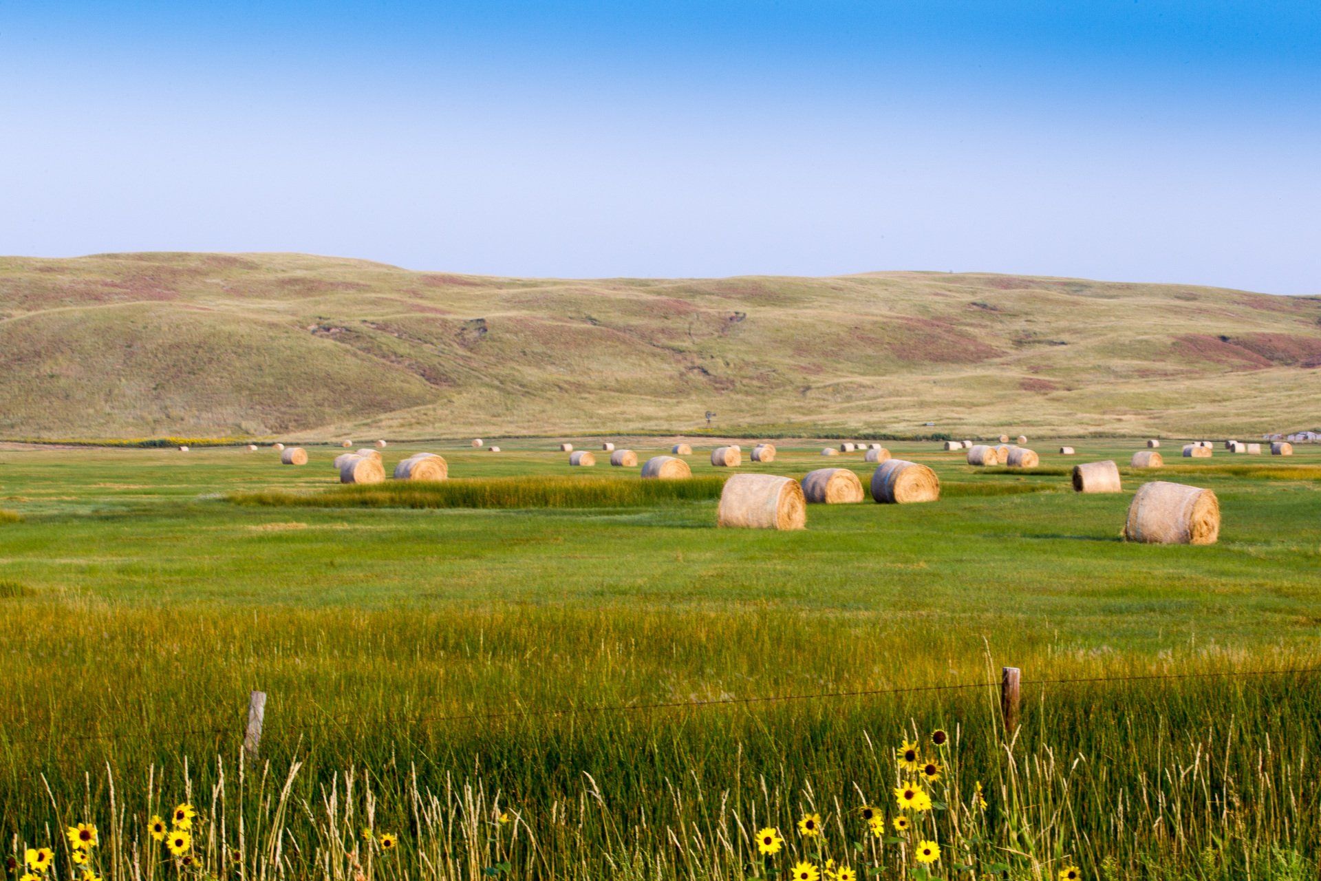 Hay bales dot a green field beneath a blue sky and grassy hills.