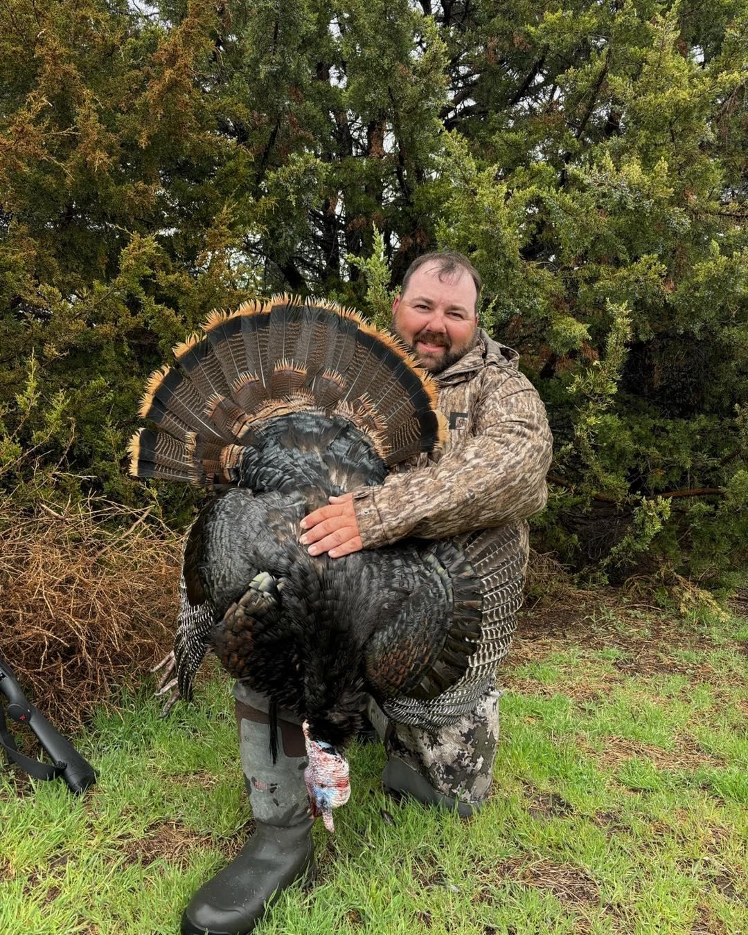 Man in camouflage kneels, holding a large wild turkey with open tail feathers, in a grassy area.