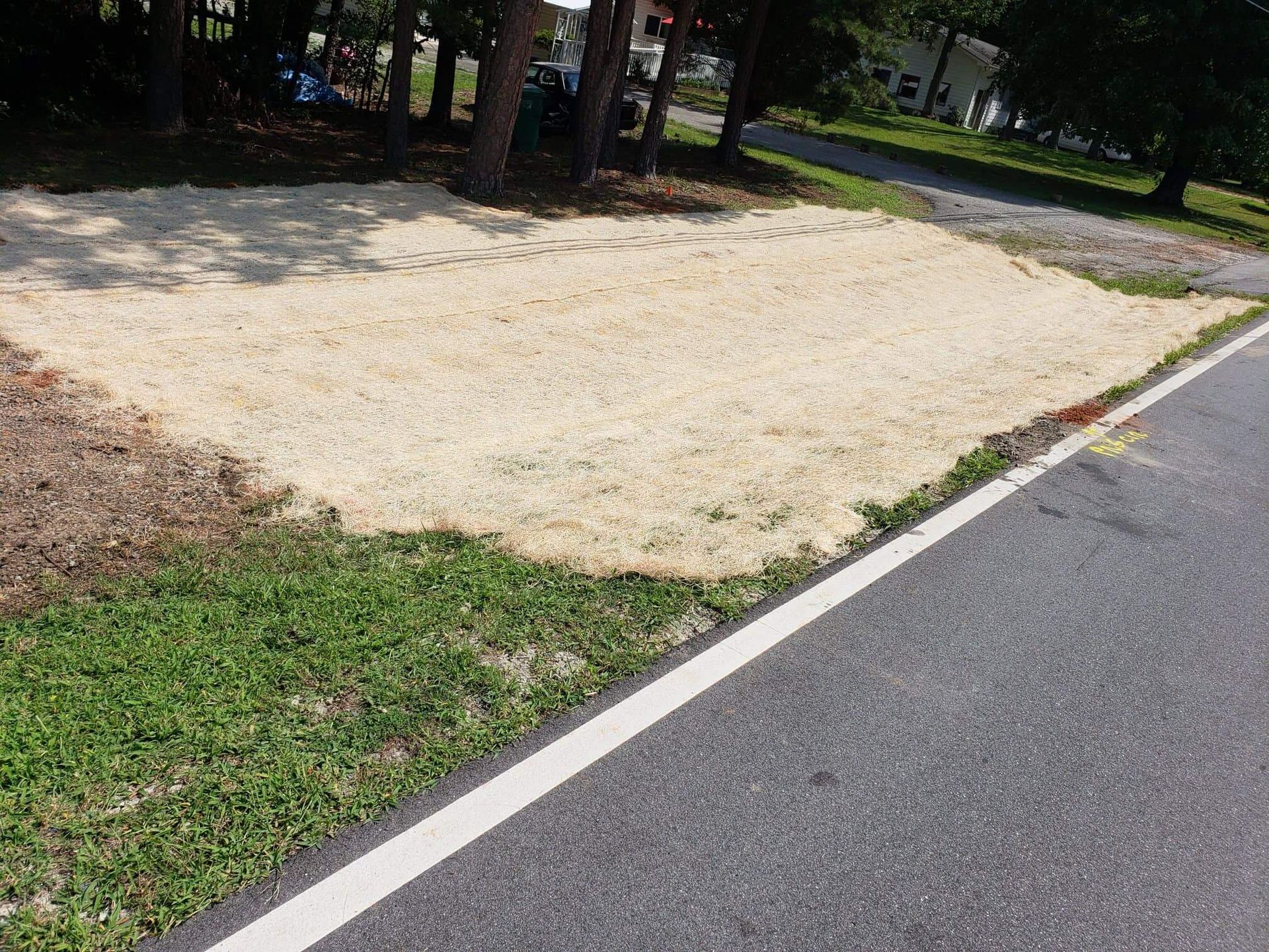 There is a lot of grass on the side of the road.