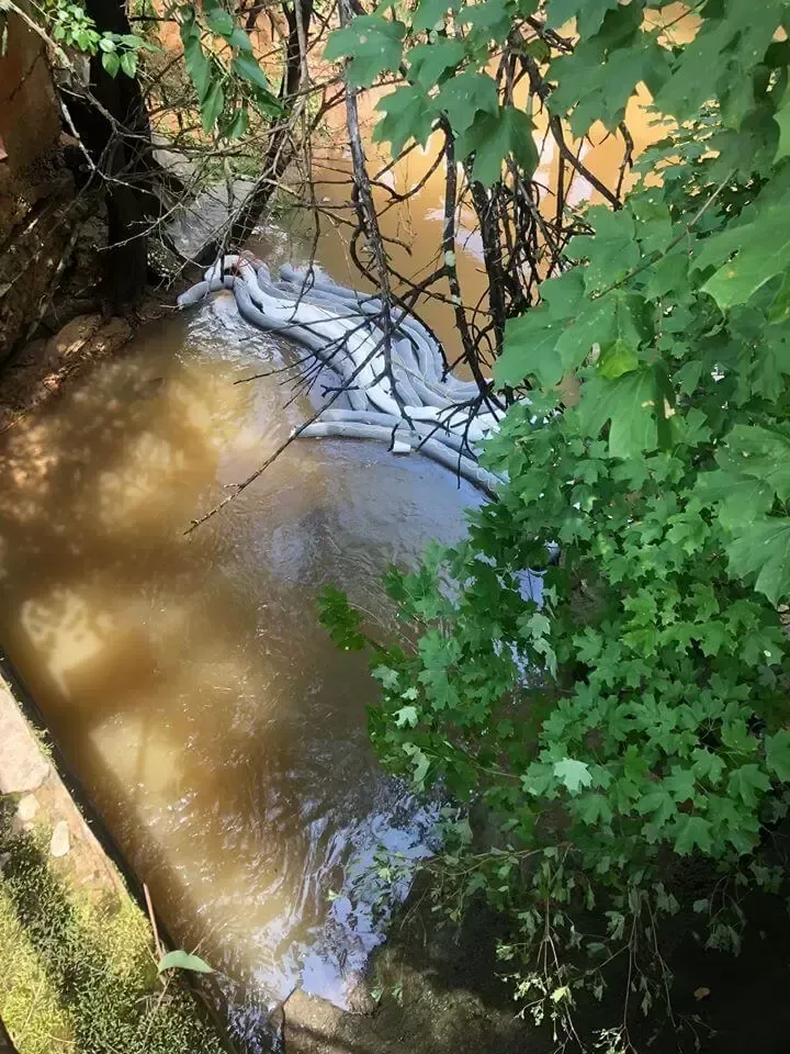 A stream of water is surrounded by trees and branches.