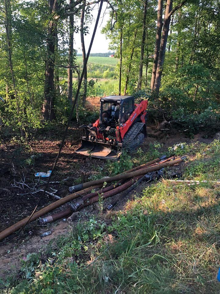 A red bulldozer is sitting in the middle of a forest.