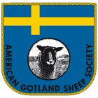 The American Gotland Sheep Society Logo
