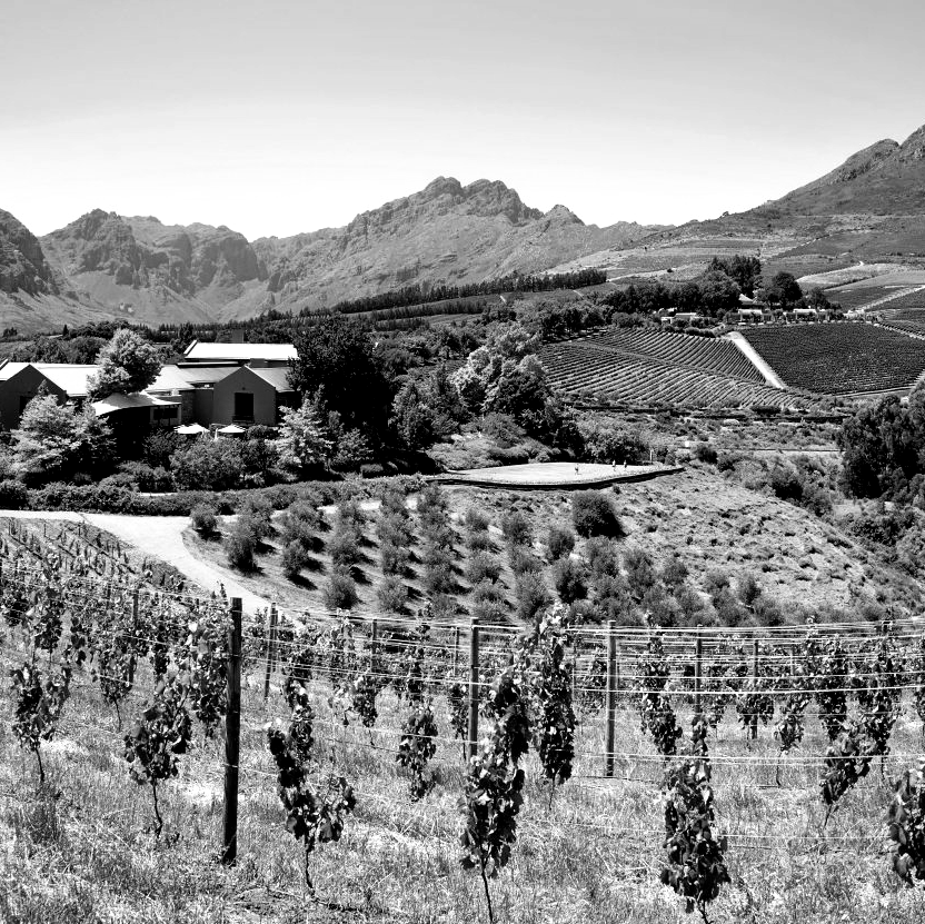 Insolvent Estate Auction with Western Cape Auctioneers 