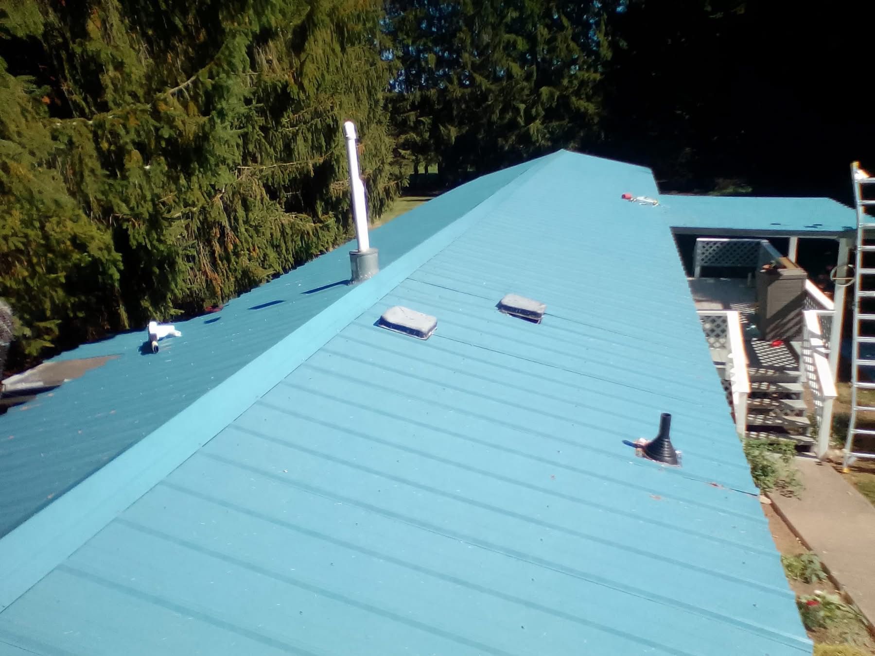 Blue metal roof with vent pipes and access points; trees in background.