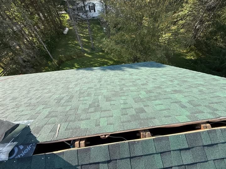 Green shingle roof with an exposed edge, viewed from above, surrounded by trees.