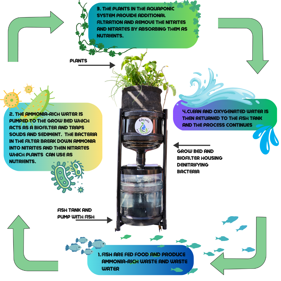 A diagram of a water cycle with arrows pointing in different directions