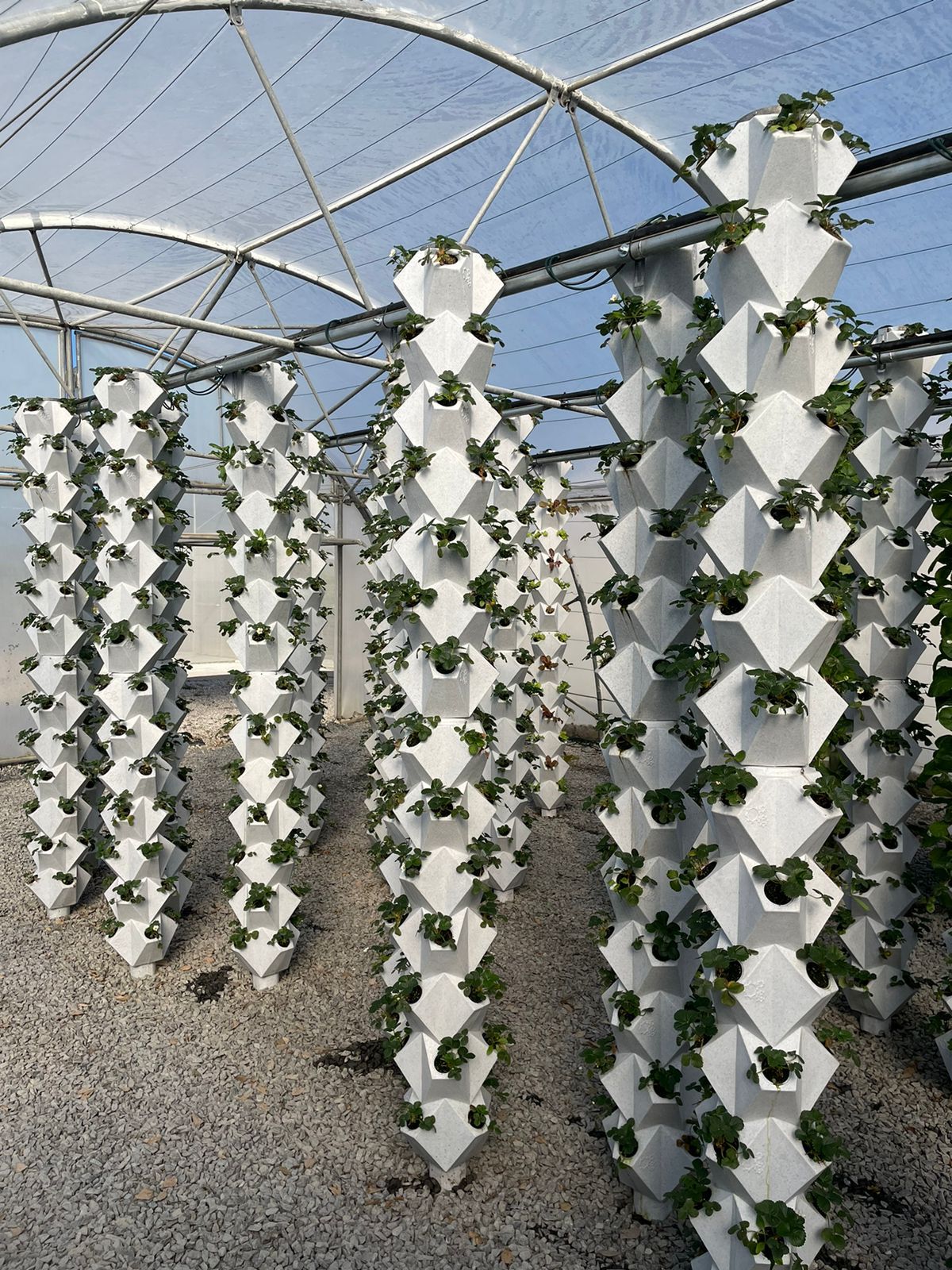 A greenhouse filled with lots of white planters filled with plants.