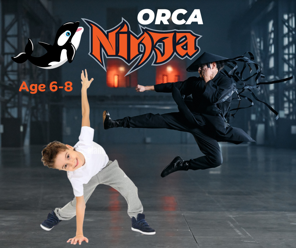 Dynamic Ninja | Portland, OR