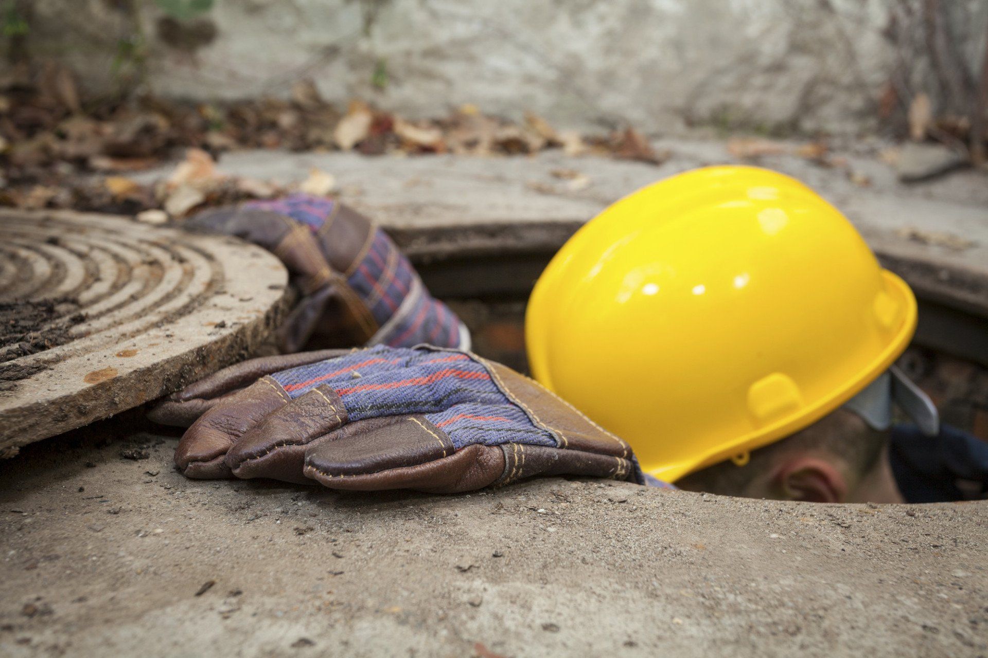 SURVEYS & MAINTENANCE