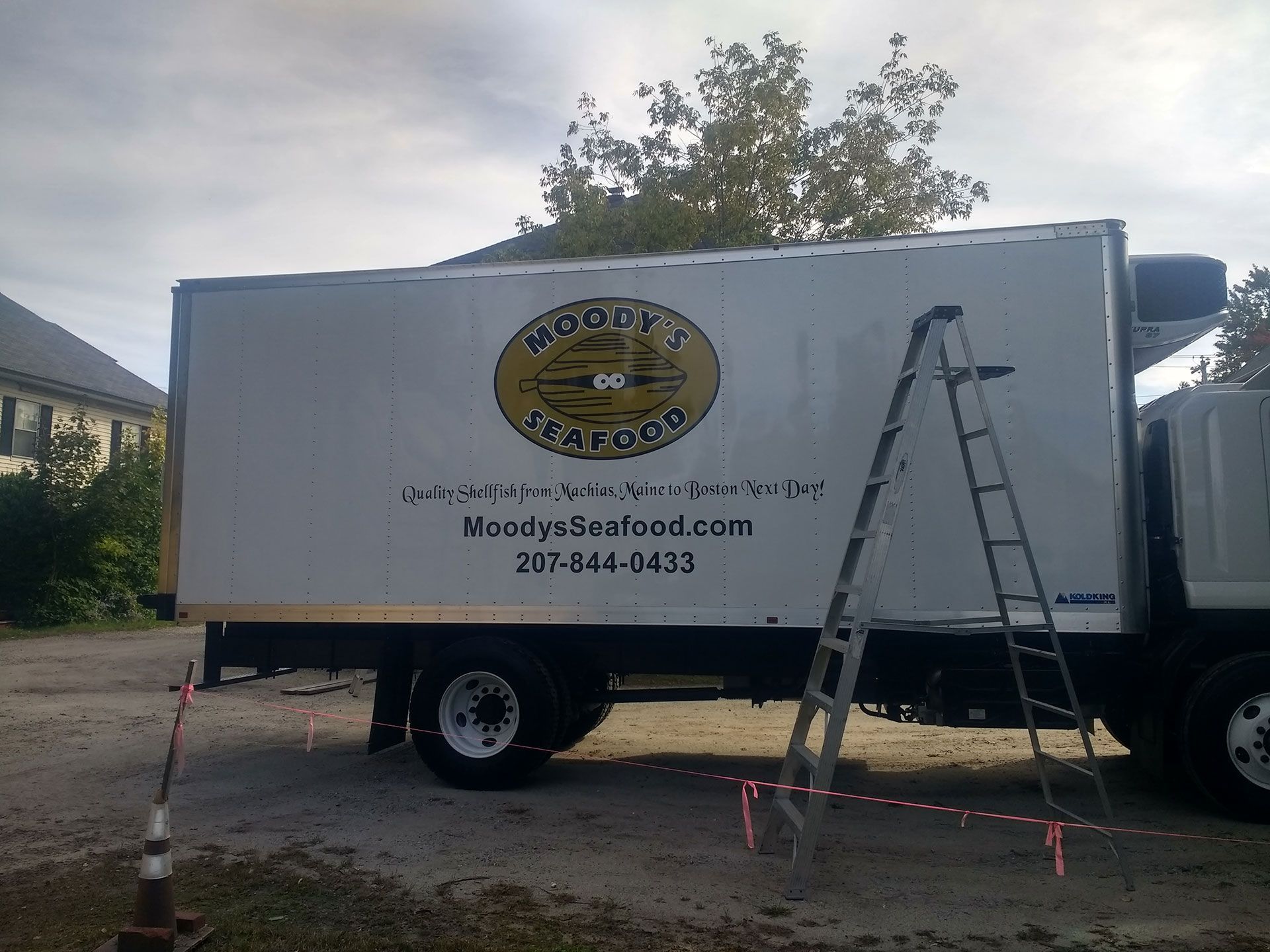 Vehicle Lettering 84