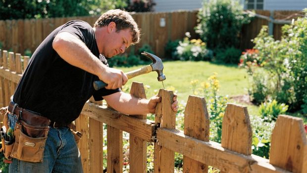 Man in black shirt hammers a nail into a wooden fence in a sunny backyard.