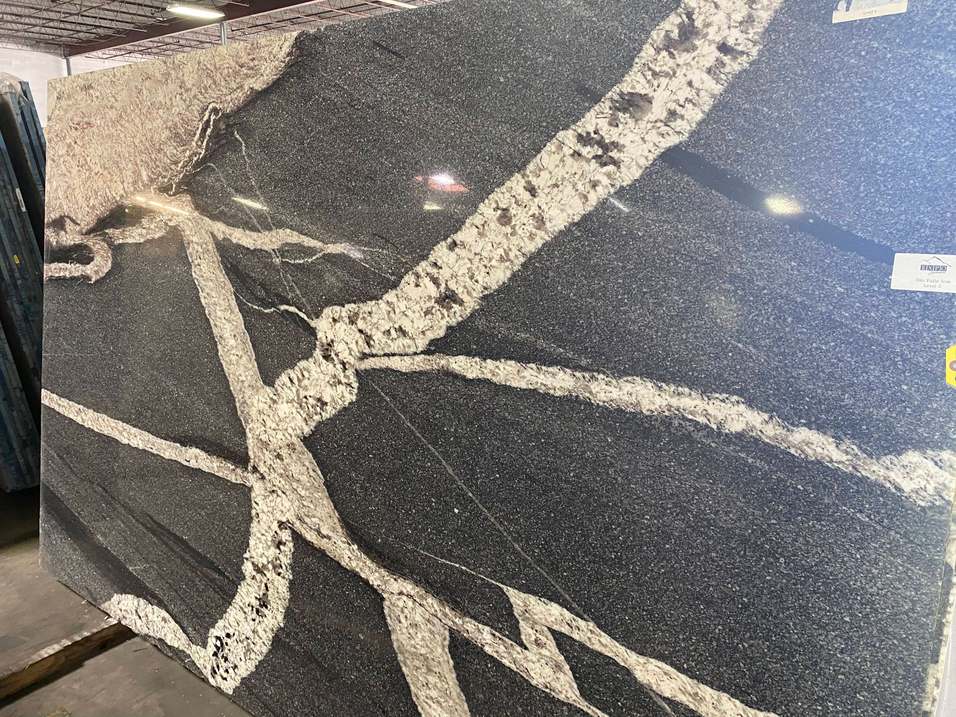 Dark granite slab with light-colored veining creating a web-like pattern.