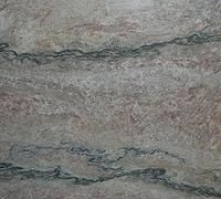 Gray and reddish-brown stone surface with dark, sinuous lines.