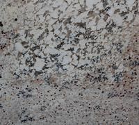 White granite with gray and black specks and veining.