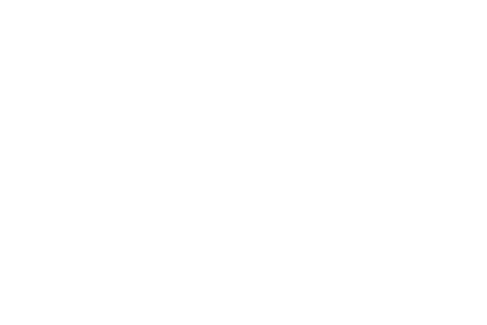 EXPO stone