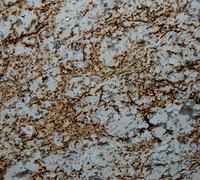 Brown and white granite countertop with intricate veining.