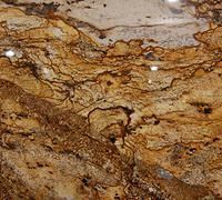 Brown and gold granite countertop with intricate veining patterns.