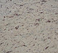 Beige and gray granite countertop with dark brown and black flecks.