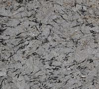 Gray stone surface with dark, elongated mineral inclusions.