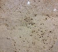 Cream-colored granite countertop with scattered dark spots and a speckled pattern.