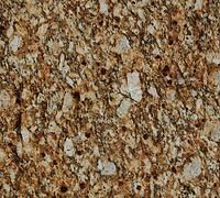 Brown and beige granite countertop with speckled patterns.